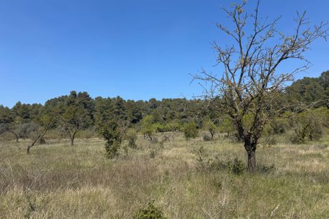 Helårsgrund i Cretas, Teruel, Cretas - € 60.000 | Ref: Iaco - foto 6